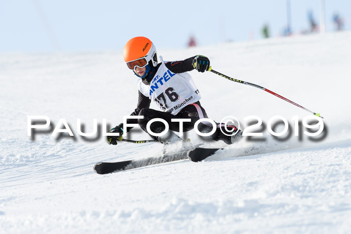 SVM U8, U10, U12, SechzgerPokal 2019