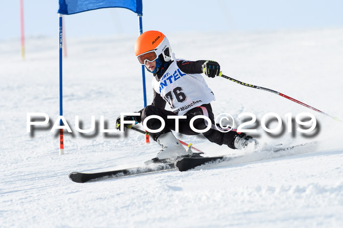 SVM U8, U10, U12, SechzgerPokal 2019