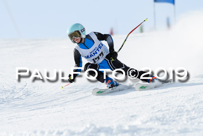 SVM U8, U10, U12, SechzgerPokal 2019