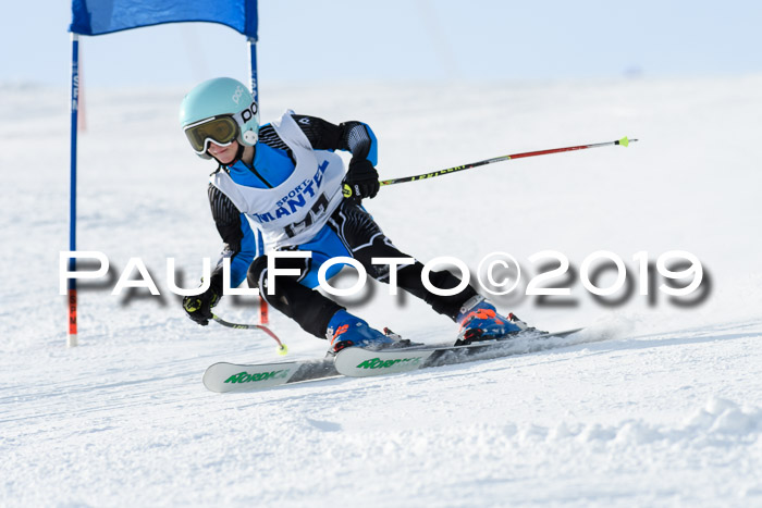 SVM U8, U10, U12, SechzgerPokal 2019