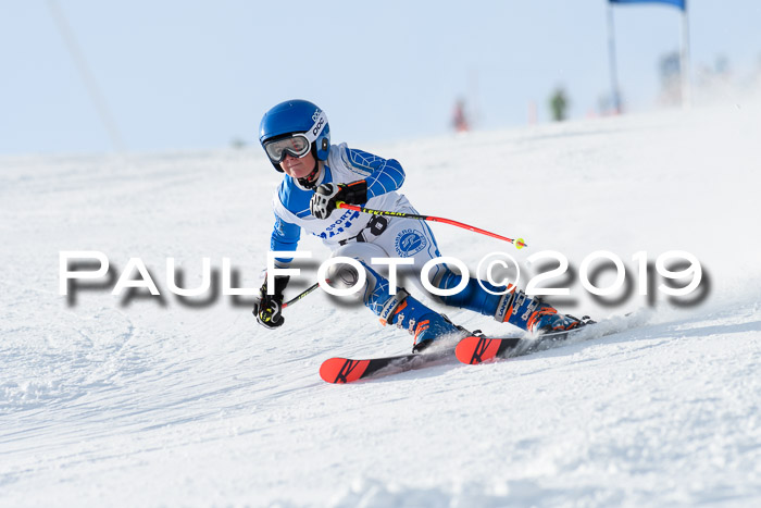 SVM U8, U10, U12, SechzgerPokal 2019