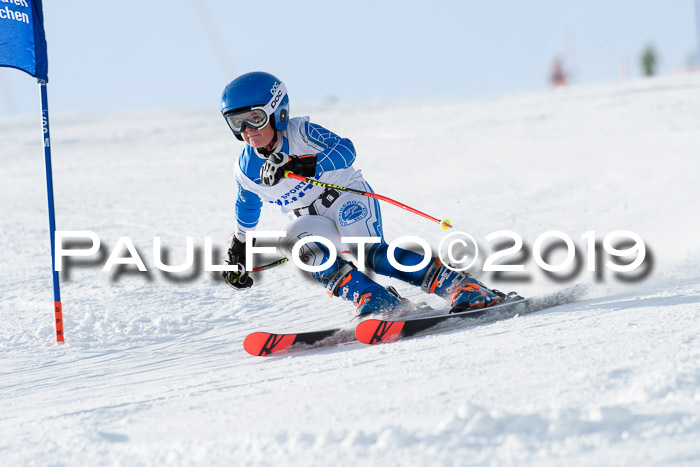 SVM U8, U10, U12, SechzgerPokal 2019