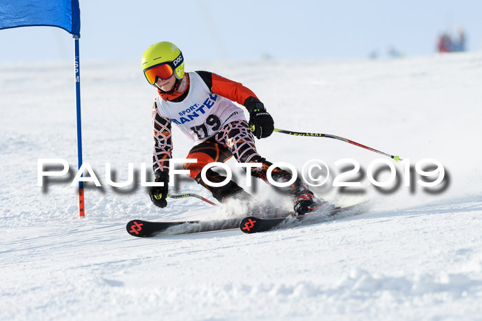 SVM U8, U10, U12, SechzgerPokal 2019