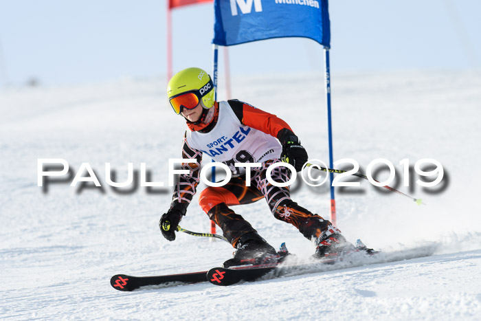SVM U8, U10, U12, SechzgerPokal 2019