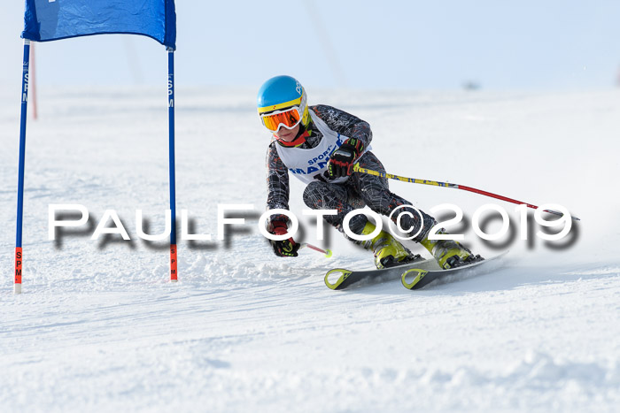 SVM U8, U10, U12, SechzgerPokal 2019
