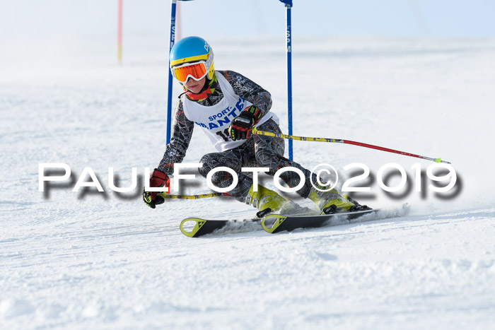 SVM U8, U10, U12, SechzgerPokal 2019