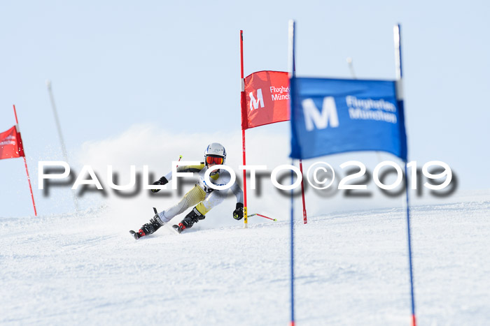 SVM U8, U10, U12, SechzgerPokal 2019