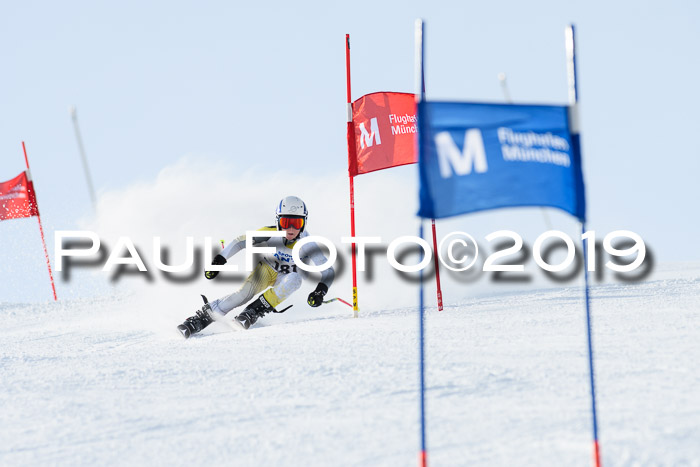 SVM U8, U10, U12, SechzgerPokal 2019