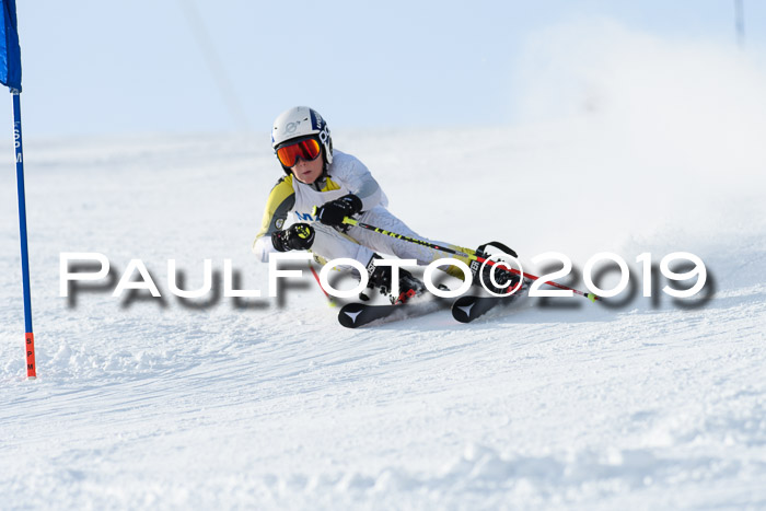 SVM U8, U10, U12, SechzgerPokal 2019