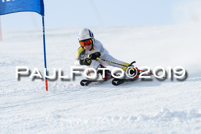 SVM U8, U10, U12, SechzgerPokal 2019