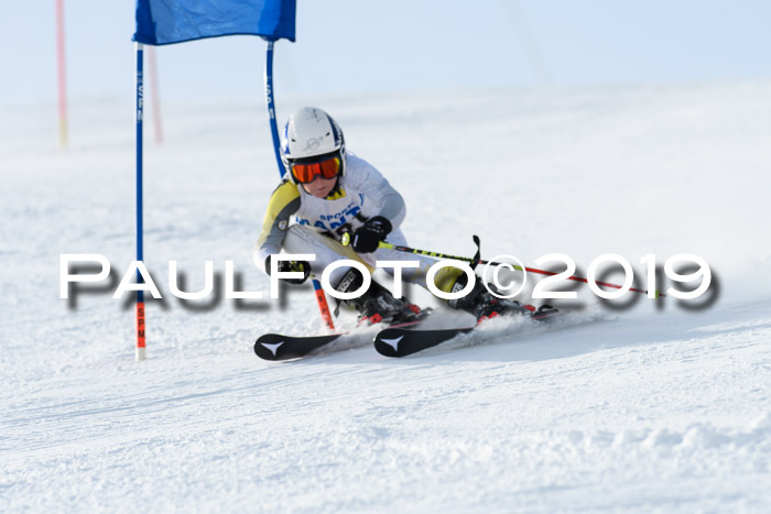 SVM U8, U10, U12, SechzgerPokal 2019