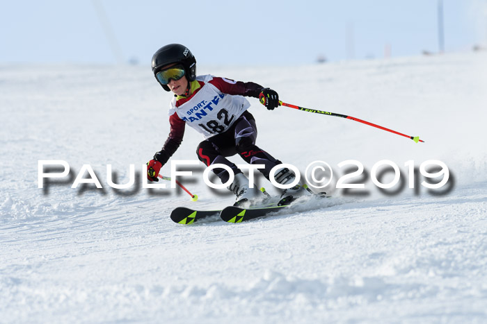 SVM U8, U10, U12, SechzgerPokal 2019