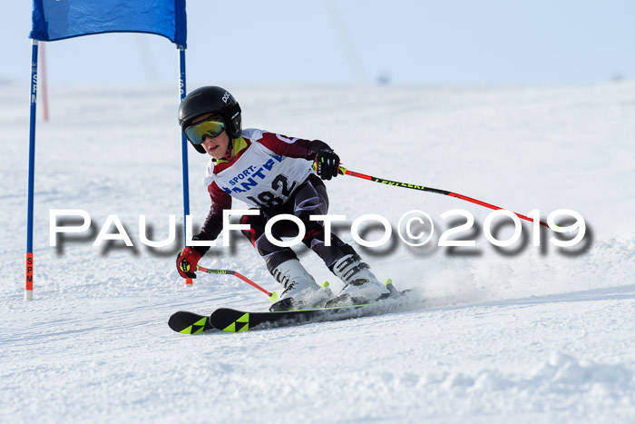 SVM U8, U10, U12, SechzgerPokal 2019
