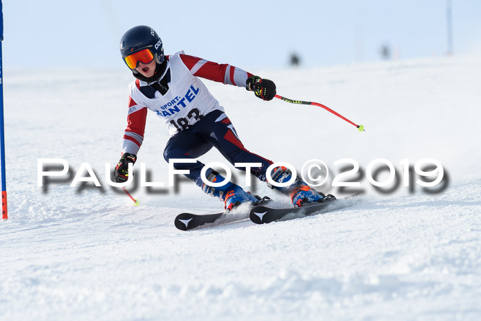 SVM U8, U10, U12, SechzgerPokal 2019