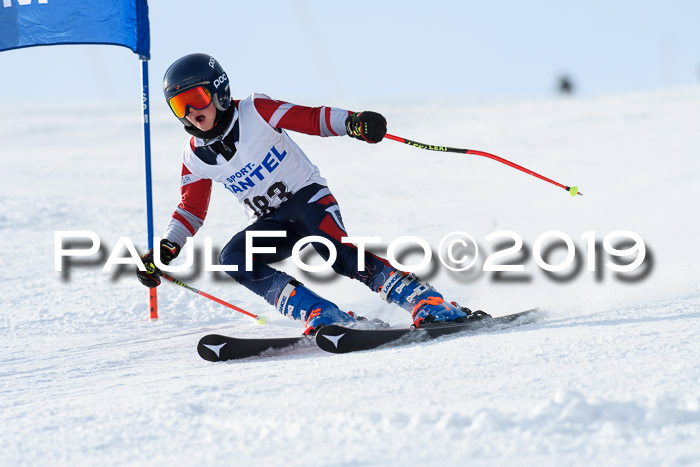 SVM U8, U10, U12, SechzgerPokal 2019