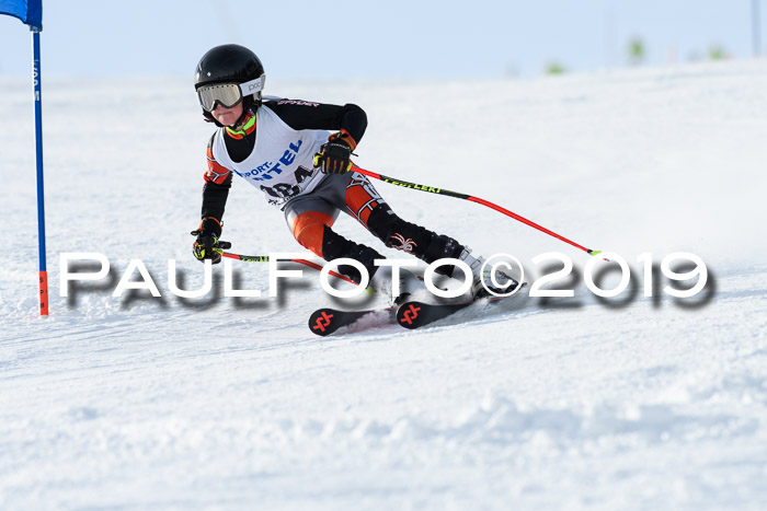 SVM U8, U10, U12, SechzgerPokal 2019
