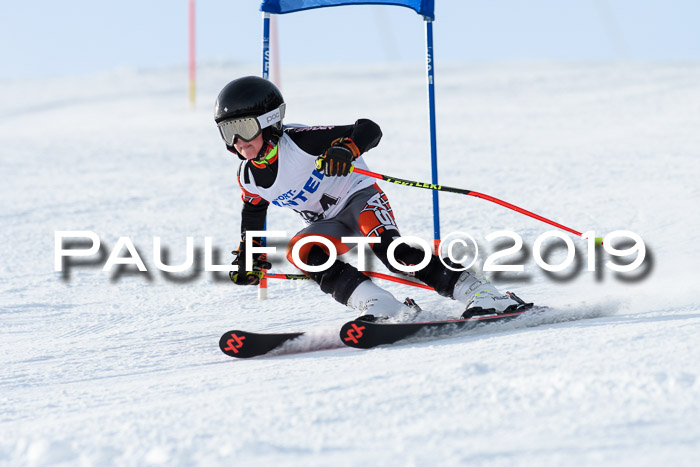 SVM U8, U10, U12, SechzgerPokal 2019