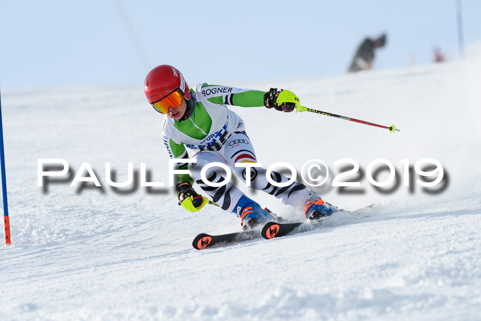 SVM U8, U10, U12, SechzgerPokal 2019