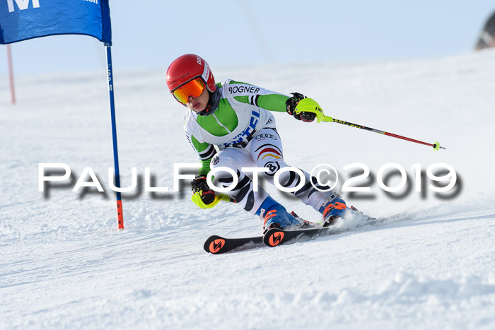 SVM U8, U10, U12, SechzgerPokal 2019