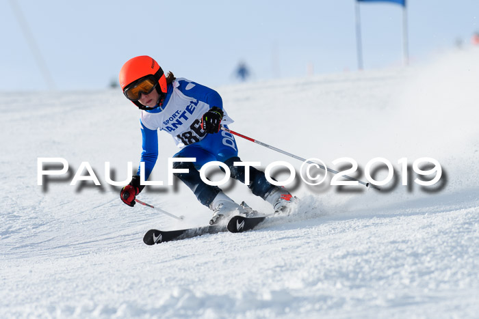 SVM U8, U10, U12, SechzgerPokal 2019