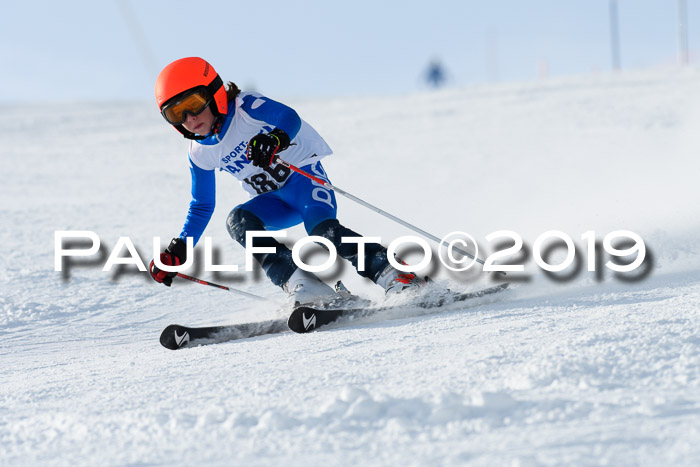SVM U8, U10, U12, SechzgerPokal 2019