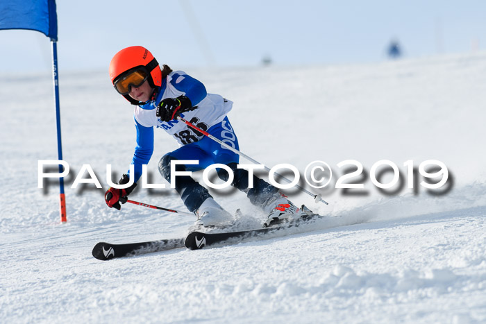 SVM U8, U10, U12, SechzgerPokal 2019
