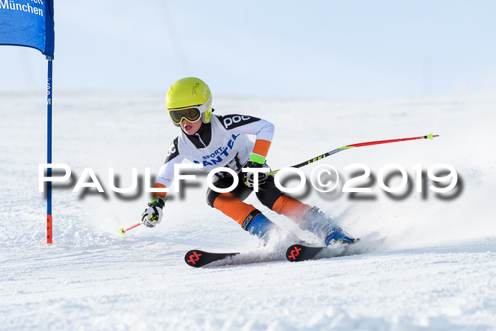 SVM U8, U10, U12, SechzgerPokal 2019