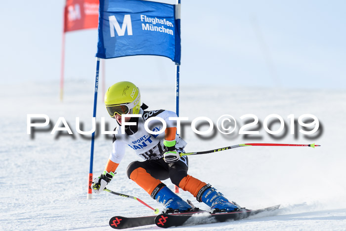 SVM U8, U10, U12, SechzgerPokal 2019