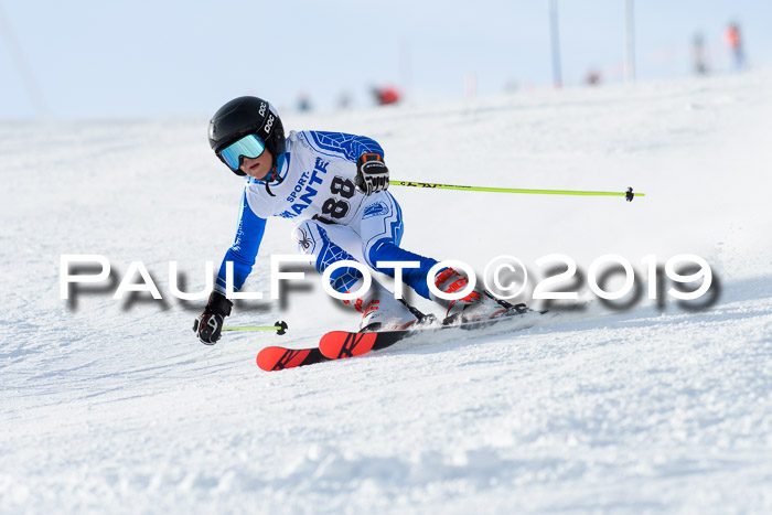 SVM U8, U10, U12, SechzgerPokal 2019