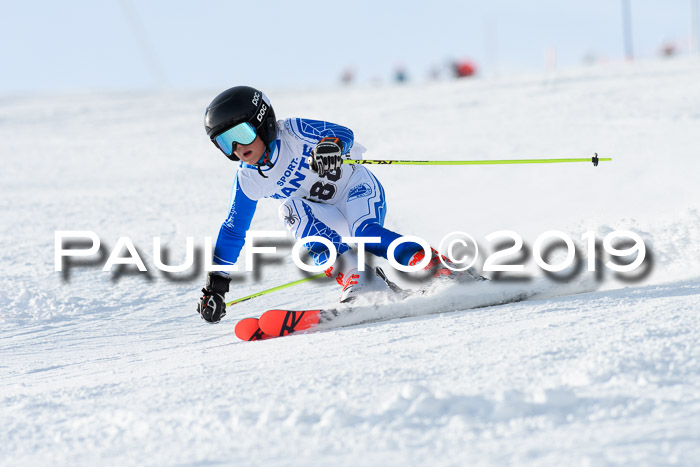 SVM U8, U10, U12, SechzgerPokal 2019