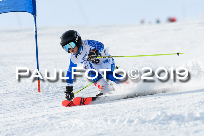 SVM U8, U10, U12, SechzgerPokal 2019