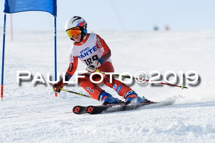 SVM U8, U10, U12, SechzgerPokal 2019