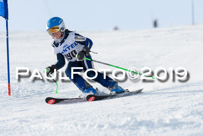 SVM U8, U10, U12, SechzgerPokal 2019