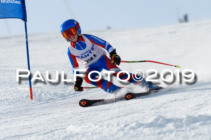 SVM U8, U10, U12, SechzgerPokal 2019