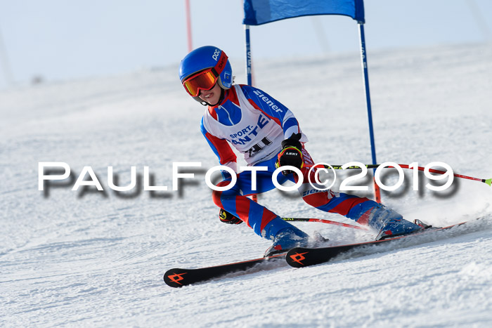 SVM U8, U10, U12, SechzgerPokal 2019