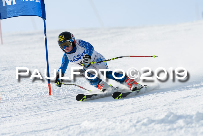 SVM U8, U10, U12, SechzgerPokal 2019
