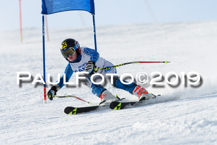 SVM U8, U10, U12, SechzgerPokal 2019