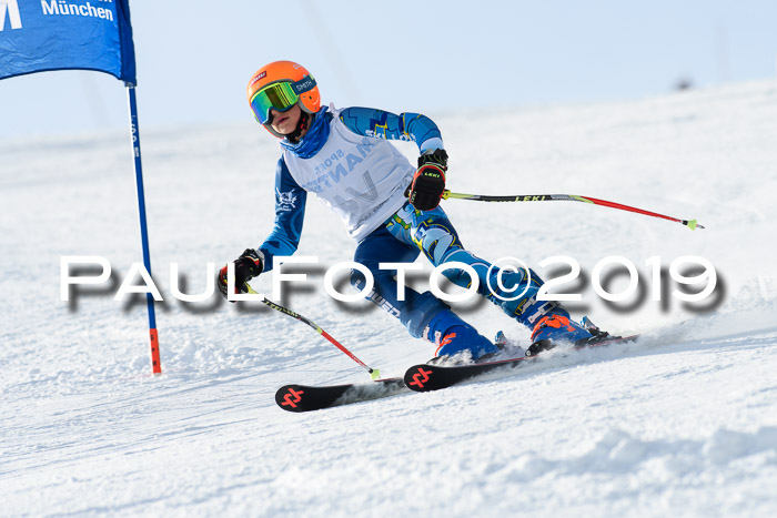 SVM U8, U10, U12, SechzgerPokal 2019