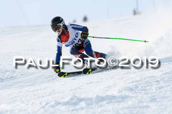SVM U8, U10, U12, SechzgerPokal 2019