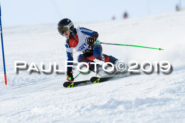 SVM U8, U10, U12, SechzgerPokal 2019