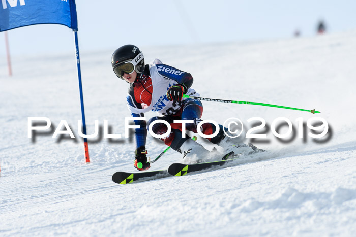 SVM U8, U10, U12, SechzgerPokal 2019