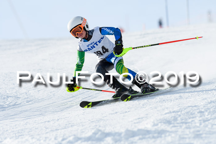 SVM U8, U10, U12, SechzgerPokal 2019