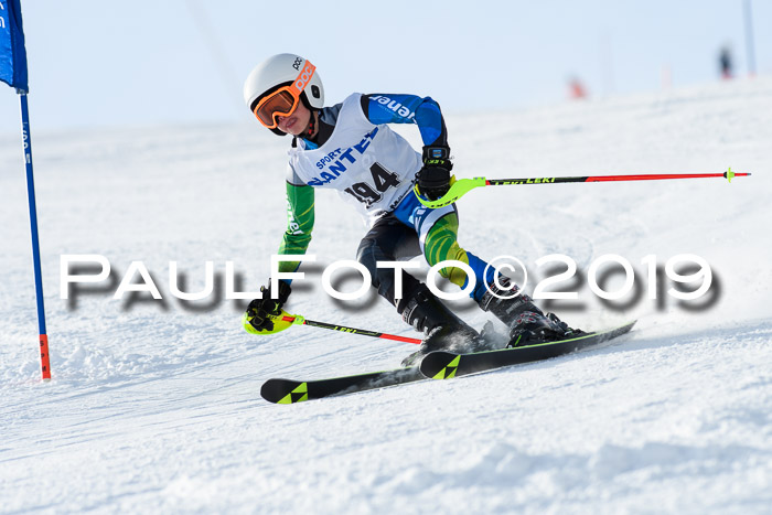 SVM U8, U10, U12, SechzgerPokal 2019