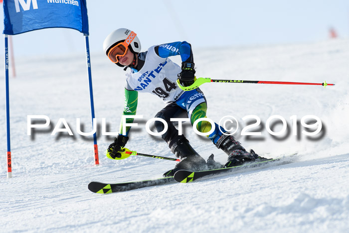 SVM U8, U10, U12, SechzgerPokal 2019