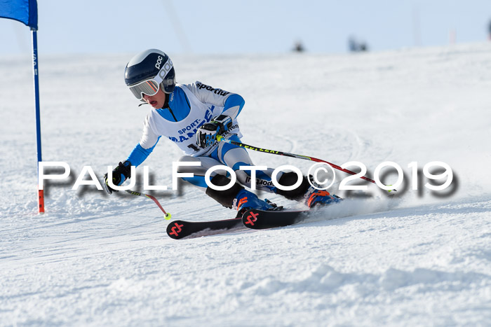 SVM U8, U10, U12, SechzgerPokal 2019