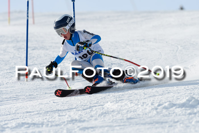 SVM U8, U10, U12, SechzgerPokal 2019