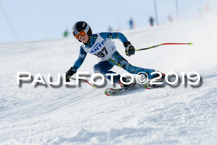 SVM U8, U10, U12, SechzgerPokal 2019