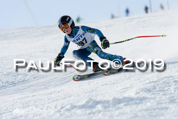 SVM U8, U10, U12, SechzgerPokal 2019