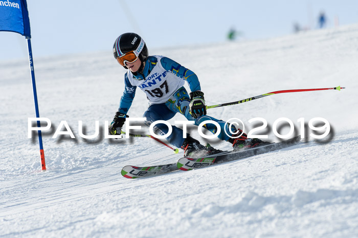 SVM U8, U10, U12, SechzgerPokal 2019