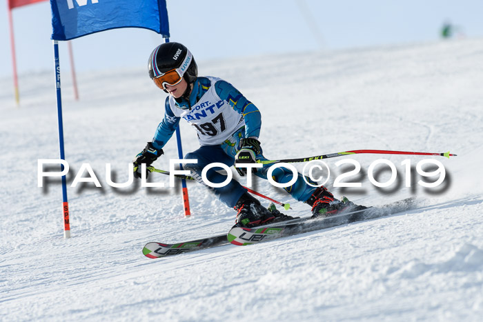 SVM U8, U10, U12, SechzgerPokal 2019